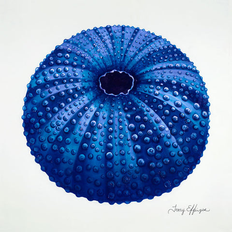 Giclée Prints
