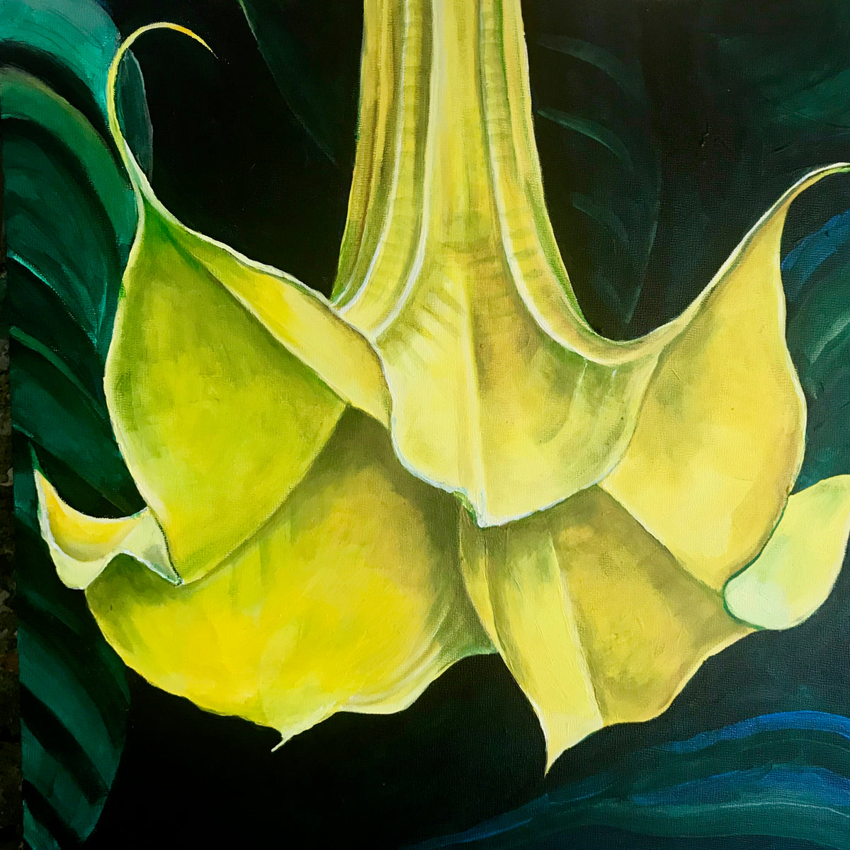 Angel Trumpet 3, 16