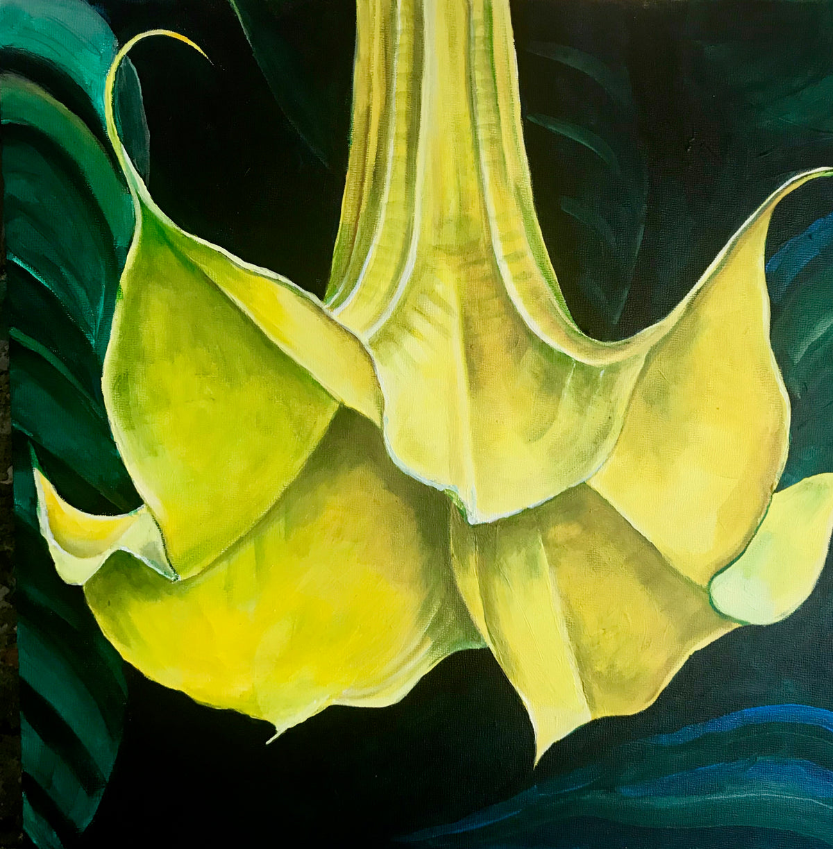 Angel Trumpet 3, 16